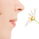 Illustration for article titled This Robo-Nose Can Smell Better Than You